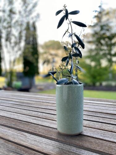 Zylindervase mit Olivenzweig, Seladonglasur 