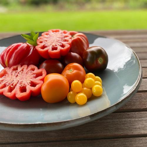 Obstschale Tomaten handmade - Martina Elsenheimer