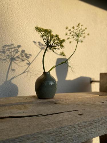 Ceramics Vase - modern ceramics handmade - handthrown Martina Elsenheimer