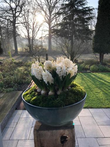 Endlich Frühling!