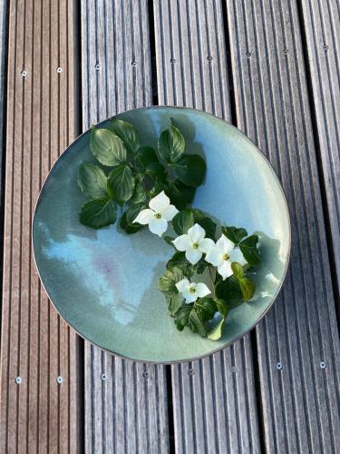 Keramikschale mit Sockel, außen grauer Ton, innen grün mit farbigen Sprenkeln, 39 cm