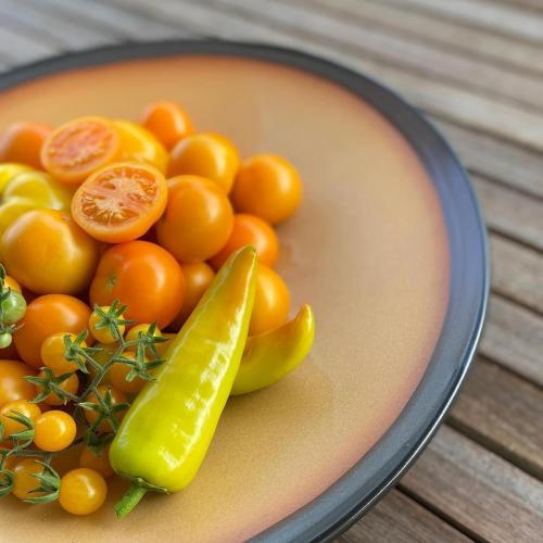 Handwerk Tomaten - fruitbowl tomatoe handcrafted - NRW Martina Elsenheimer