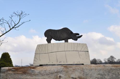 keramik-Dose-Nashorn-raku-ceramics-muensterland-muenster-osnabrueck-martina-elsenheimer-mel-Dose 20