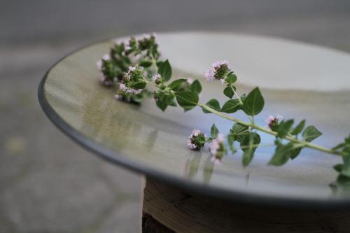 keramik-schale-grau-blau-ceramics-bowl-grey-blue-muensterland-muenster-osnabrueck-martina-elsenheimer-mel-IMG 4129