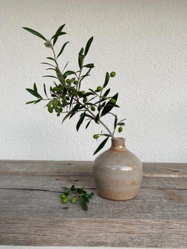 Kunsthandwerk Vase Olivenzweig - Kugelvase handmade - Martina Elsenheimer