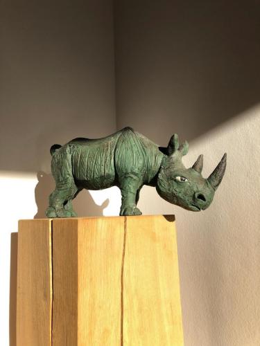 Grünes Nashorn, Workshop Andreas Hinder