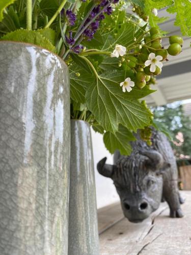 Stier, Workshop Andreas Hinder